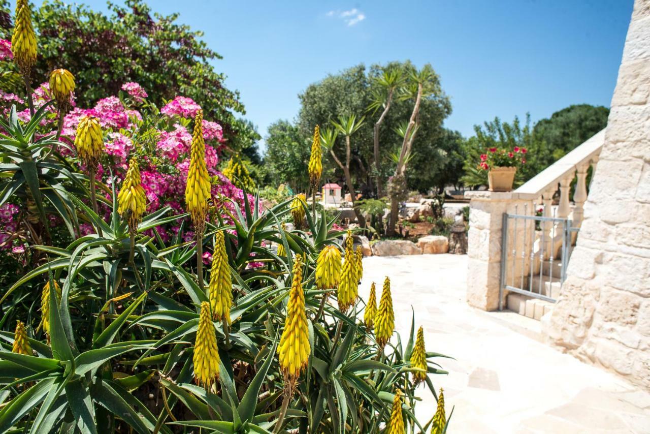 Agriturismo Grotta Di Figazzano チステルニーノ エクステリア 写真