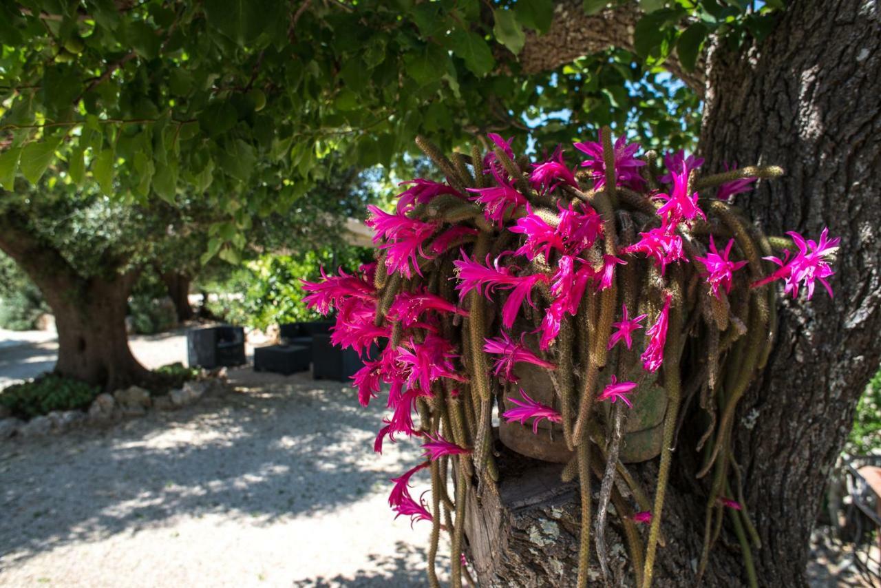 Agriturismo Grotta Di Figazzano チステルニーノ エクステリア 写真