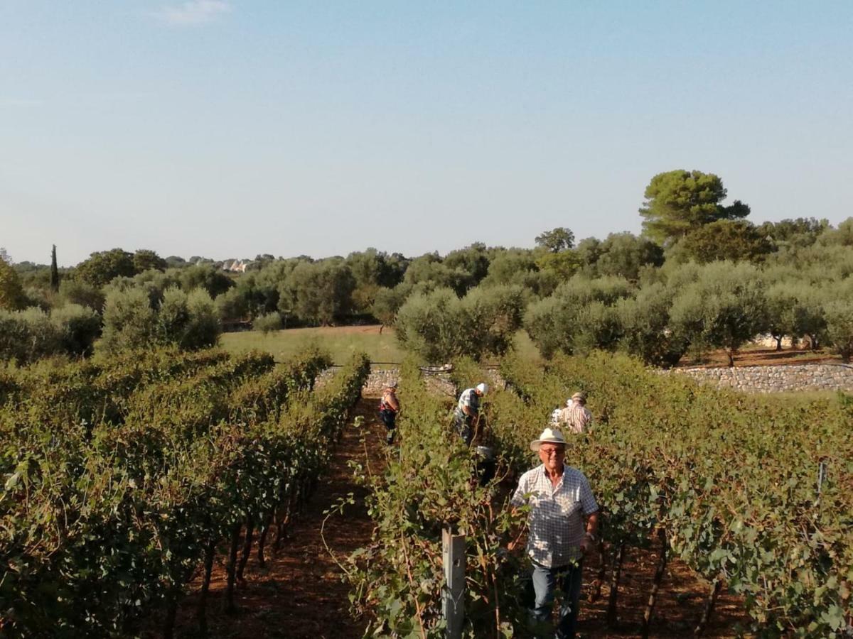 Agriturismo Grotta Di Figazzano チステルニーノ エクステリア 写真
